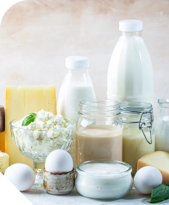 Поставка молочных продуктов