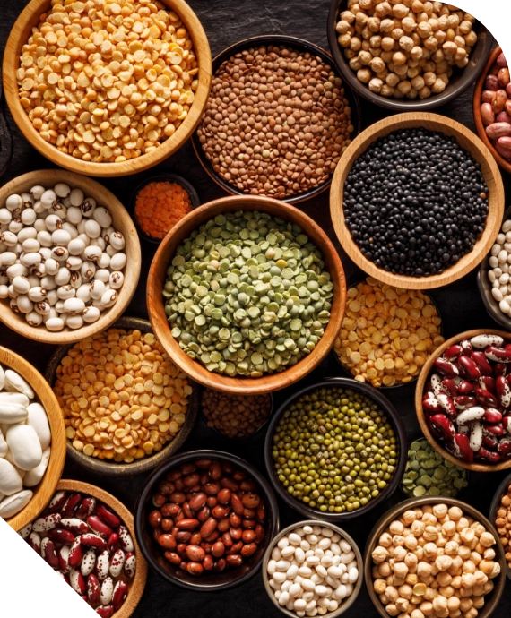 Поставка сухих продуктов