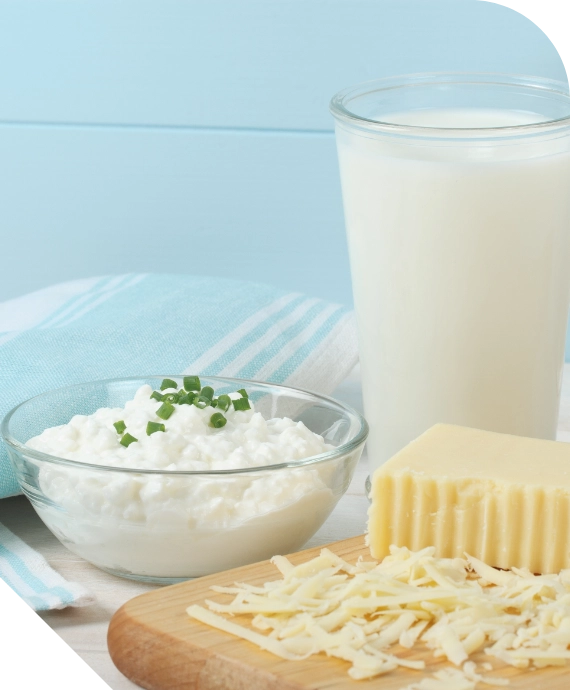 Поставка молочных продуктов